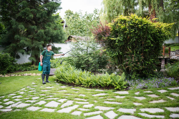 Best Tree and Shrub Care  in Sandy Springs, SC